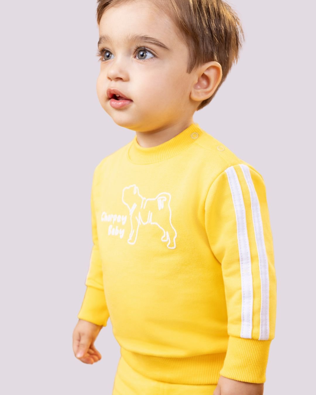 Imagem do WhatsApp de 2025-05-06 à(s) 19.26.39_b5e99e82