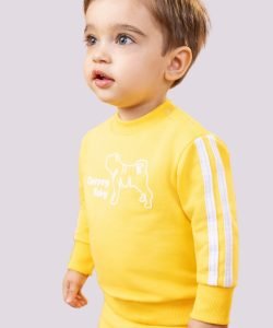 Imagem do WhatsApp de 2025-05-06 à(s) 19.26.39_b5e99e82